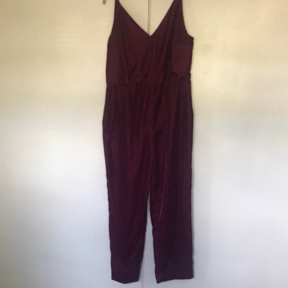 Rose velvet jumpsuit